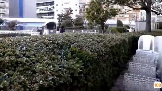 二零二三七月十二_清纯小姨子